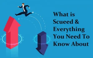 What is Scueed & Everything You Need To Know About
