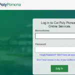 How To Mycpp Login & New Student Account My.cpp.edu