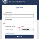 How To I3ms Login, & Go To i3ms.odishaminerals.gov.in