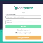 How To Netsorte Login & Download App Latest Version