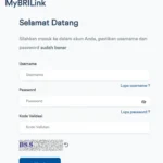 How To My Brilink.bri.co.id Login & Complete Guide