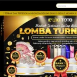 How To Koitoto Login & Complete Guide