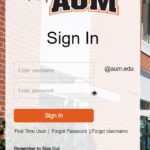 Myaum Login & Complete Guide To University at Albany
