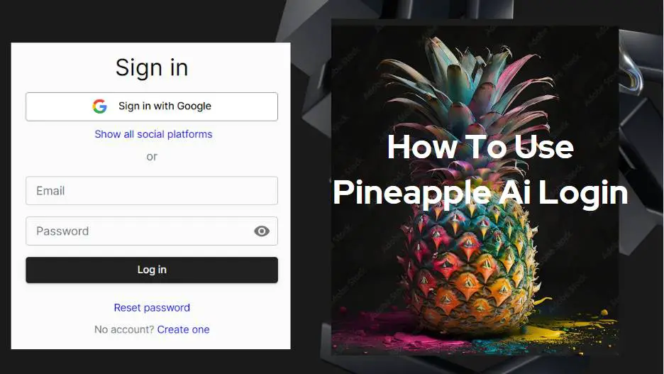 How To Use Pineapple Ai Login