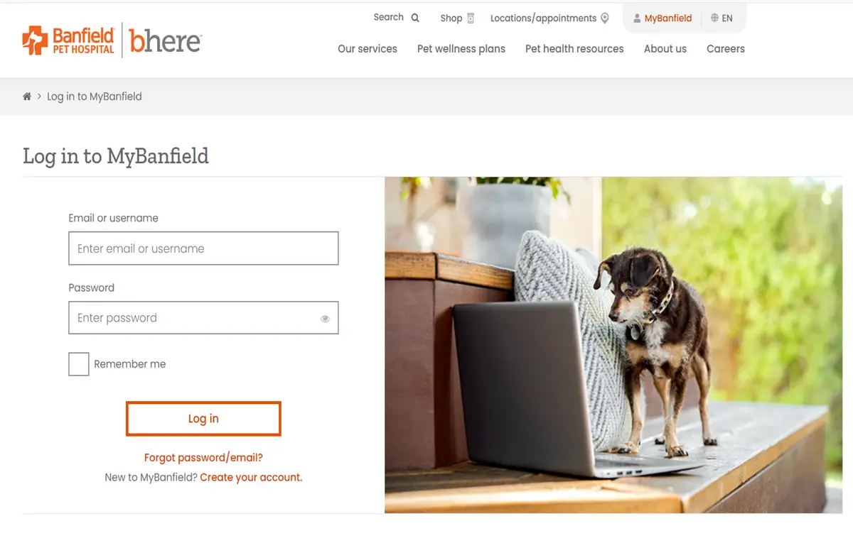 mybanfield login