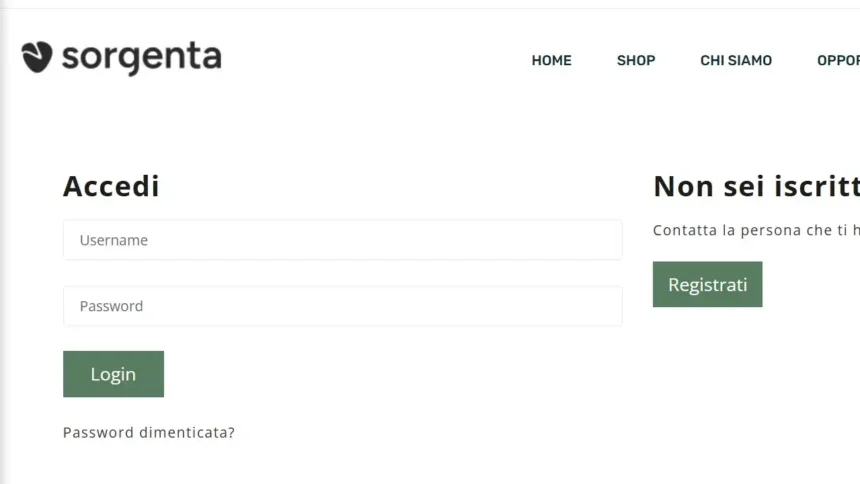 Sorgenta Login